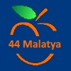 44Malatya - ait Kullanıcı Resmi (Avatar)